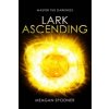 Lark Ascending