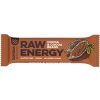 Bombus Raw Energy bar 50 g - kakao/kakaové bôby
