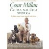 Čo ma naučila svorka (Cesar Millan)