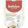 BOLSIUS Vanilla 313 g