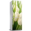 Nálepka fototapeta Biele tulipány 60x180 cm