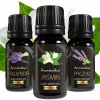 Aromaholik Sada esenciálnych olejov Jazmín + Levanduľa + Pačuli 3 x 10 ml