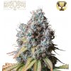 Seedstockers Superior Rucu Cucu OG semienka neobsahujú THC 3 ks