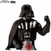 Busta Star Wars - Darth Vader měřítko 1:6, 15 cm, ABYFIG092