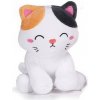 LAN Plyšová kawaii mačka 12 cm - plyšové hračky
