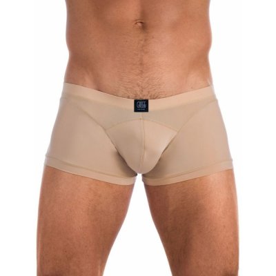 Gregg Homme Virgin Boxer Brief nude