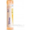 Silicea gra.1 x 4 g 15CH