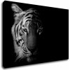 Impresi Obraz Tiger čiernobiely - 90 x 60 cm