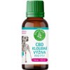 Zelená Země CBD kĺbová výživa pre psov – sirup 100 ml