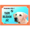 Dafiko Tabulka Tady hlídám! Labradorský retriever světlý 1ks
