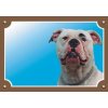 Dafiko Tabulka americký buldog 1 ks