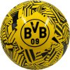 Fan-shop Lopta BORUSSIA DORTMUND Tech Square velikost: 5