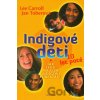 Indigové děti 10 let poté - Lewis Carrol, Jan Tober