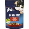 Felix Fantastic s hovädzím v želé 26 x 85 g