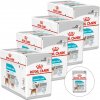 Royal Canin Urinary Care Dog Loaf 48 x 85 g