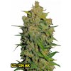 Fast Buds Semená kanabisu Lemon AK Auto 3 ks