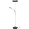 Stojacia lampa Trio 426510242