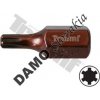 TRIUMF Bit Ribe, 10 mm driek, dĺka 30 mm M6