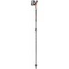 Nordic walking prútika Leki Instructor Lite dark anthracite-silvergray-bright red 100 - 125 cm (4028173293612)
