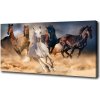Foto obraz na plátne Kone v cvale 100x50 cm