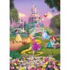 Komar Papierová fototapeta Disney Princess Sunset, 184 x 254 cm