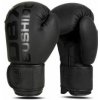 Boxerské rukavice DBX BUSHIDO B-2v21 10oz.