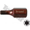 TRIUMF Bit Ribe, 10 mm driek, dĺka 30 mm M10