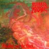 Morbid Angel - Blessed Are The Sick / Remaster / FDR / Vinyl [LP]