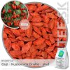 BYLINNÝ ČAJ Goji - Kustovnica čínska (1kg)