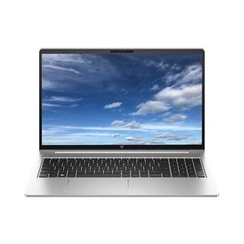 HP ProBook 450 G10 817S9EA