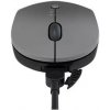 Lenovo Go Wireless Multi-Device Mouse (4Y51C21217)