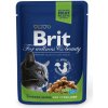 Brit Premium Cat Chicken Slices for Sterilised kapsičky 24 x 100 g