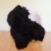 Islandská ovčia kožušina - Čierna