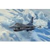 model letadla Revell ModelSet letadlo 63844 Lockheed Martin F-16D Tigermeet 2014 1:72