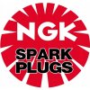 Zapaľovacia sviečka NGK 6193