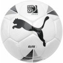 Futbalová lopta Puma Elite