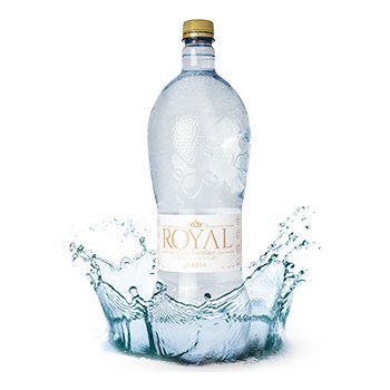 RoyalWater DAILY ION WATER 12 x 0,5 l