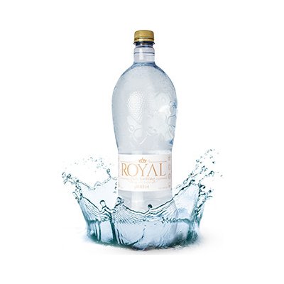 RoyalWater DAILY ION WATER 12 x 0,5 l