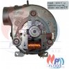 Ventilátor spalin 39W IMMERGAS EOLO MINI / EOLO STAR 23 kW - 1.024485P / 1.024485 / 1.021174 / 1.024233 / 1.027159