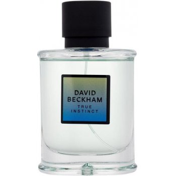 David Beckham True Instinct parfumovaná voda pánska 75 ml