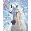 zuty Maľovanie podľa čísel - Biely kôň, 80x100 cm, bez rámu a bez vypnutia plátna (8596530000020)