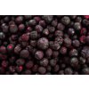 Lyofio.cz - Mrazem sušená borůvka lesní 100 g