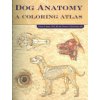Dog Anatomy (Kainer Robert (College of Veterinary Medicine University of Georgia Atlanta USA))