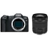 Canon EOS R8 + Canon RF 24-105mm f/4-7.1 IS STM