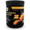 Dia Wellness Kolagénový nápoj v prášku - mango 380g
