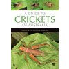 Guide to Crickets of Australia (David Rentz,You Ning Su)(Brožovaná)