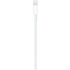 Apple Lightning to USB Cable (2m) MD819ZM/A