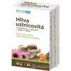 Plus Lekáren Hliva ustricovitá cps + Echinacea + rakytník + selén + zinok 60 ks