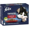 Nestlé FELIX Fantastic cat Multipack hovädzie, hydina, zelená fazuľka & jahňa, kura, paradajky & morka, kačka v želé kapsička 12x85 g