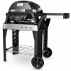 Weber PULSE 2000 WITH STAND